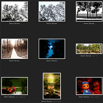 Portfolio